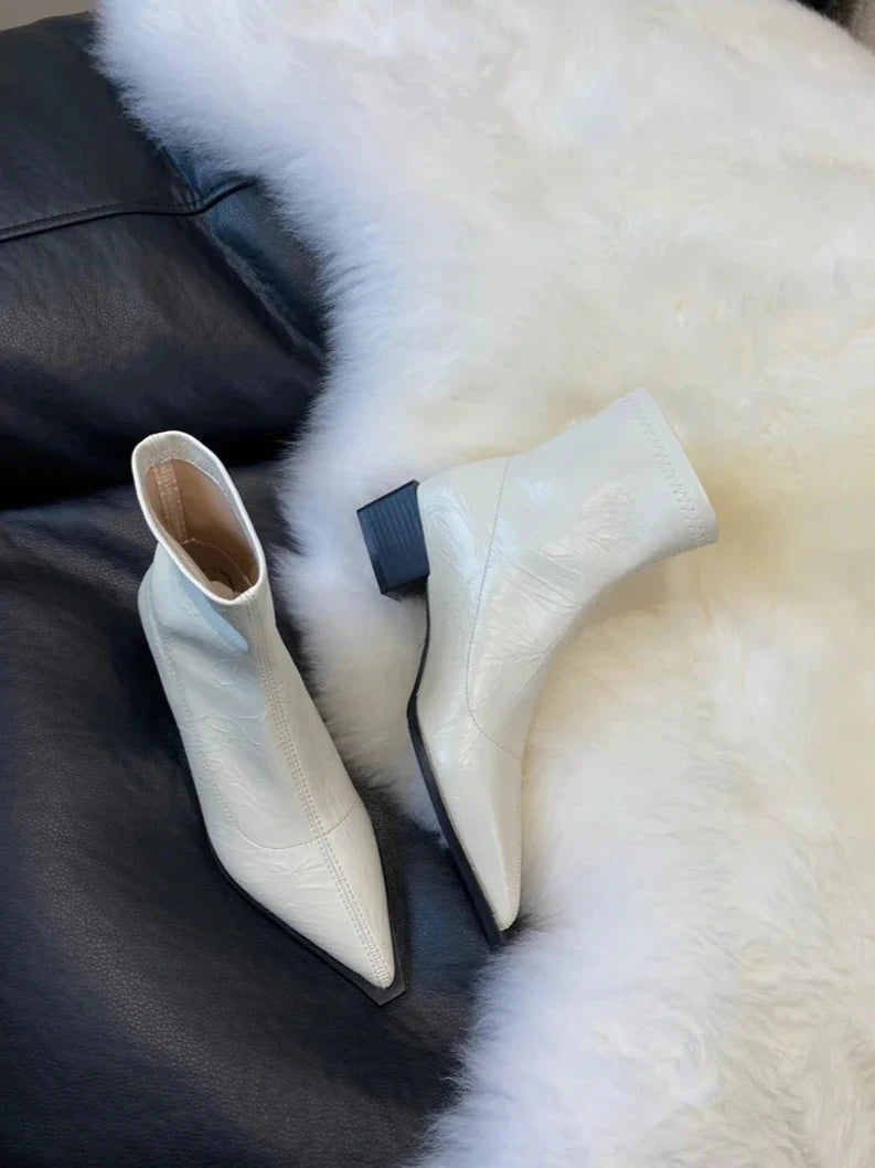 Pointed Toe Ankle Boots